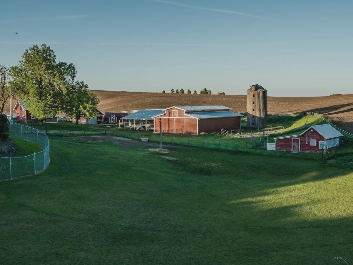 Representative photo of a agriculture business, not this business